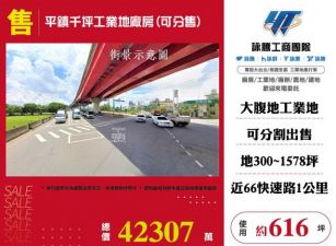 平鎮千坪工業地廠房(可分售)111