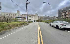 富岡重劃區 (臨10米) 方正店地~