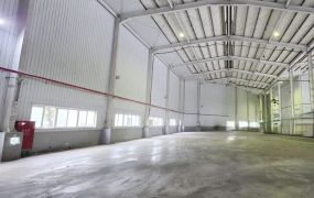 新屋近66/挑高9.5米/鋼構廠房(可廠登) •    桃園廠房工業地買賣/建地/徵收農地/廠房出租
