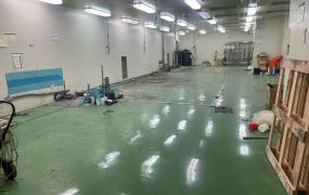 平鎮近66可分租科技廠