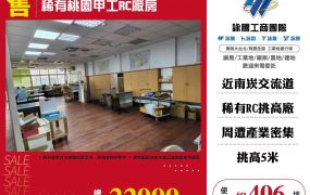 稀有桃園甲工RC廠房