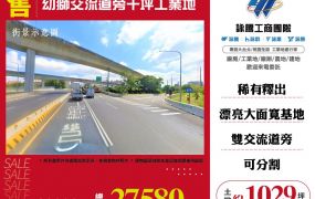 幼獅交流道旁千坪工業地