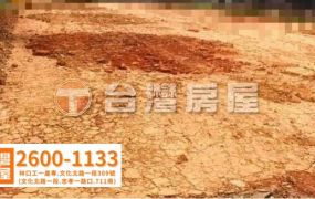 楊梅近幼獅工業地