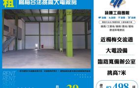 楊梅合法挑高大電廠房