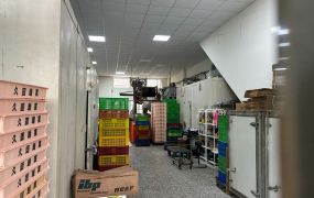 龍潭烏樹林工業區廠房