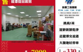 龍潭食品廠房