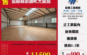 烏樹林新穎RC大廠房