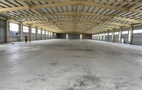 龍潭新建挑高碼頭廠房