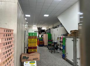 龍潭烏樹林工業區廠房