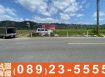 市農388_卑南利吉眺望小黃山視野好農地