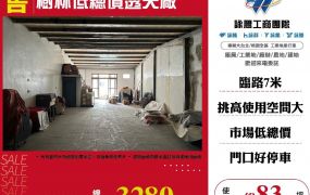 新北廠房廠辦 樹林透天廠