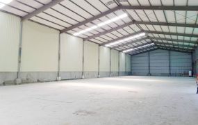 觀音近工業區/挑高7米/鋼構廠房 •    桃園廠房工業地買賣/建地/徵收農地/廠房出租