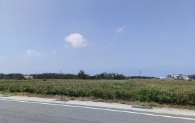 大園工業區旁交通用地  回饋金已繳[專營大園交通用地買賣]