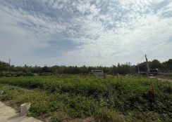 【專簽】關廟下湖段4分方正美農地