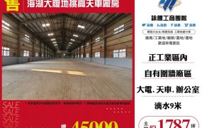 海湖大腹地挑高天車廠房