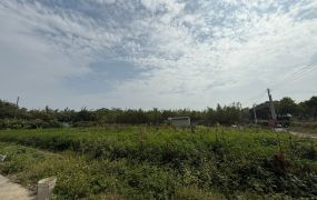【專簽】關廟下湖段4分方正美農地