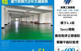 蘆竹新穎方正RC五樓廠房