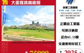觀音工業區大面寬挑高廠房