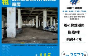 觀音工業區大坪數方正廠房