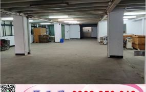 土城獨棟企業總部(可依法廠登)