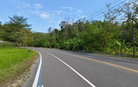 六龜旗六公路旁一坪1.3萬3.62分農地