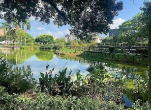 廣豐公園路大面寬店面
