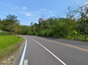 六龜旗六公路旁一坪1.3萬3.62分農地