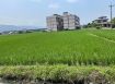永慶許書豪★冬山補城路國五旁20米面寬農地