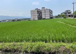 永慶許書豪★冬山補城路國五旁20米面寬農地
