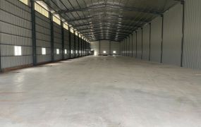 大園近台61/挑高7.5米/鋼構廠房 •    桃園廠房工業地買賣/建地/徵收農地/廠房出租