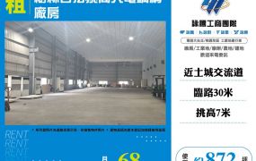 樹林合法挑高大電鋼構廠房
