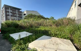 近楊梅台31vs台66方正工業地