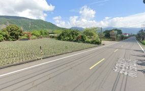 六龜新發野獸露營區大馬路旁農地面寬82米