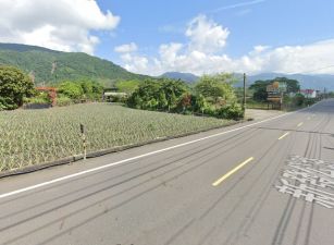 六龜新發野獸露營區大馬路旁農地面寬82米