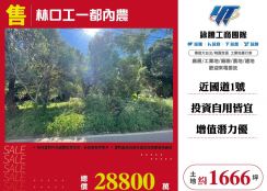 新北廠房廠辦 林口農地