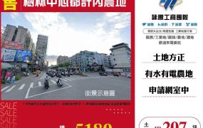新北廠房廠辦 樹林農地