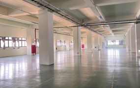 近八德大湳強壯RC合法廠房5176坪