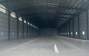 大園全新方正挑高廠房/A區