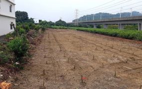 燕巢瓊林台39農地