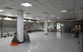 中壢工業區可廠登1樓RC廠房