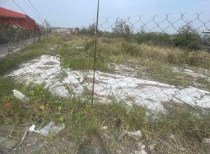 林邊交流道臨路大面寬都內農地