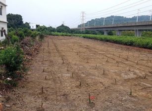 燕巢瓊林台39農地
