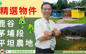 鹿谷茅埔段平坦農地(專任)台中買屋賣房土地王劉志忠
