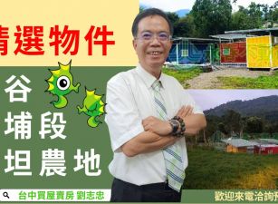 鹿谷茅埔段平坦農地(專任)台中買屋賣房土地王劉志忠