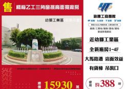 楊梅乙工三角窗挑高面寬廠房156