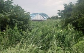 台南學甲華宗橋信義路農地｜都市計畫內｜未來具發展