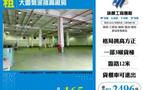 大園氣派挑高廠房182