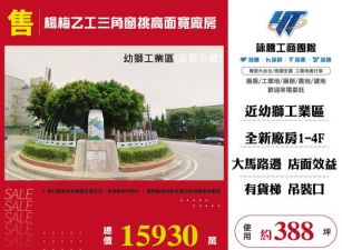 楊梅乙工三角窗挑高面寬廠房156