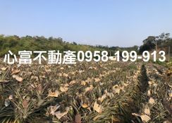 鳥松松埔北巷臨路農地