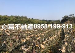 推!!鳥松風景優美農地(買農地節稅)